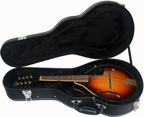 Mandolin Case, F-Style and A-Style Mandolin Case, Litchi pattern Leather Bulge Surface with Plush Interior Wooden Case (Black) in Saudi Arabia