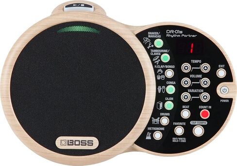 Boss DR-01S Rhythm Partner Bundle with Picks and Austin Bazaar Polishing Cloth in Saudi Arabia