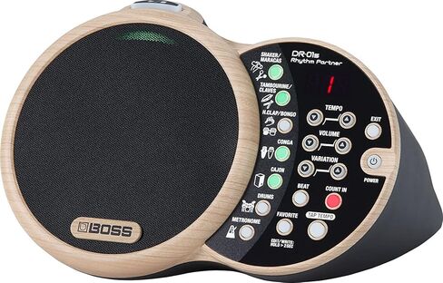 Boss DR-01S Rhythm Partner Bundle with Picks and Austin Bazaar Polishing Cloth in Saudi Arabia