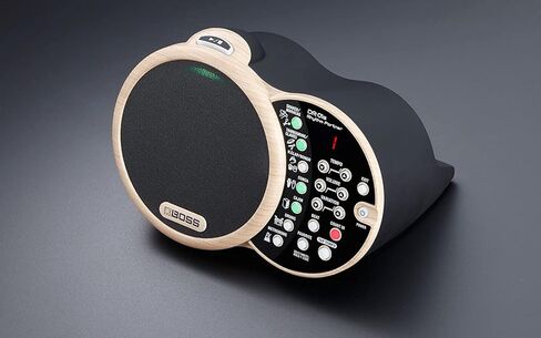 Boss DR-01S Rhythm Partner Bundle with Picks and Austin Bazaar Polishing Cloth in Saudi Arabia