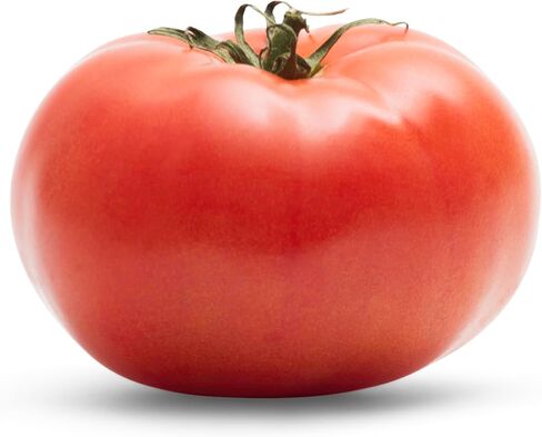 Slicer Tomato in Saudi Arabia