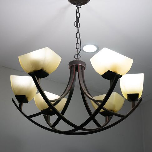 MECCANIXITY M8 LAMP حامل حلقة أنثى ، 10pcs 304 رفع الفولاذ المقاوم للصدأ رفع الجوز خطاف الدعم الشكل لتركيبات الإضاءة الثريا ، حمولة 80 كجم in Kuwait