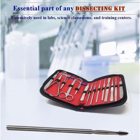 Micro Dissecting Probe with Straight Arrow Point Ends Made of Stainless Steel for Lab Dissections Multipurpose Lab Supplies comes in Sturdy Non-Slip Handle (Arrow Tip Needle - 3 Pcs) in Saudi Arabia