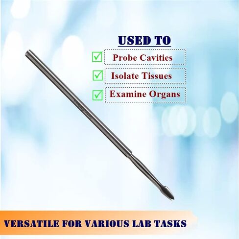 Micro Dissecting Probe with Straight Arrow Point Ends Made of Stainless Steel for Lab Dissections Multipurpose Lab Supplies comes in Sturdy Non-Slip Handle (Arrow Tip Needle - 3 Pcs) in Saudi Arabia