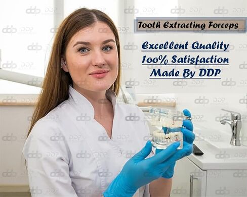 DDP-Pediatric/استخراج الأطفال ملقط أمريكا 150s Universal Universal in Saudi Arabia