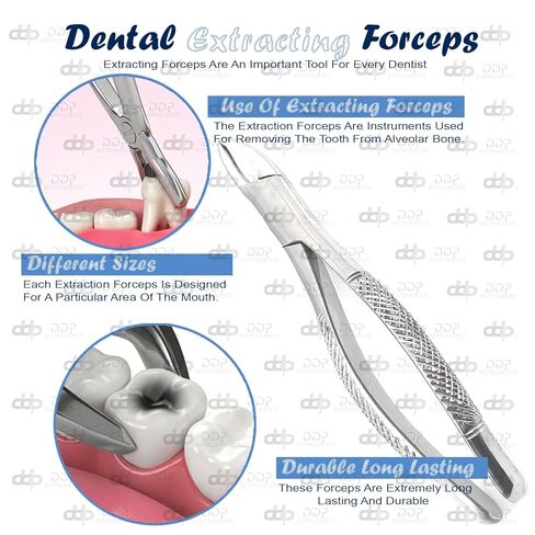 DDP-Pediatric/استخراج الأطفال ملقط أمريكا 150s Universal Universal in Saudi Arabia