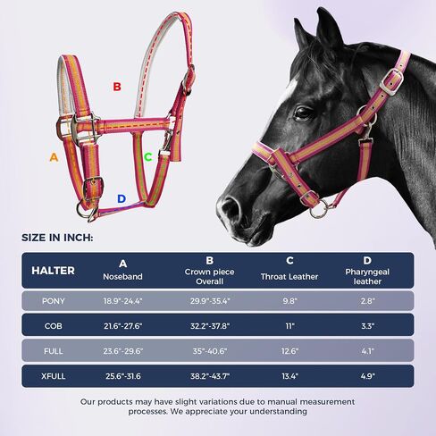 Hilltown Hill -Horse Harter مع حزام PP ، ودائم الخيول مع أجهزة سبيكة الزنك ، وأجهزة تدريب الخيول لمنع الاحتكاك للتدريب ، والمسابقات ＆ يوميًا in Kuwait