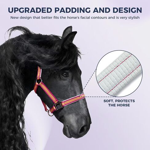 Hilltown Hill -Horse Harter مع حزام PP ، ودائم الخيول مع أجهزة سبيكة الزنك ، وأجهزة تدريب الخيول لمنع الاحتكاك للتدريب ، والمسابقات ＆ يوميًا in Kuwait