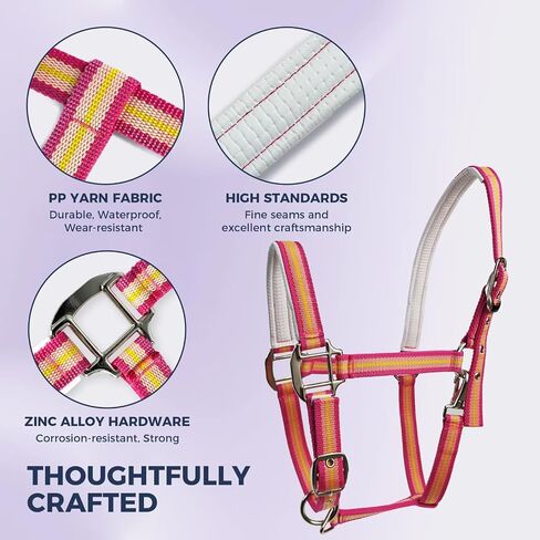 Hilltown Hill -Horse Harter مع حزام PP ، ودائم الخيول مع أجهزة سبيكة الزنك ، وأجهزة تدريب الخيول لمنع الاحتكاك للتدريب ، والمسابقات ＆ يوميًا in Kuwait