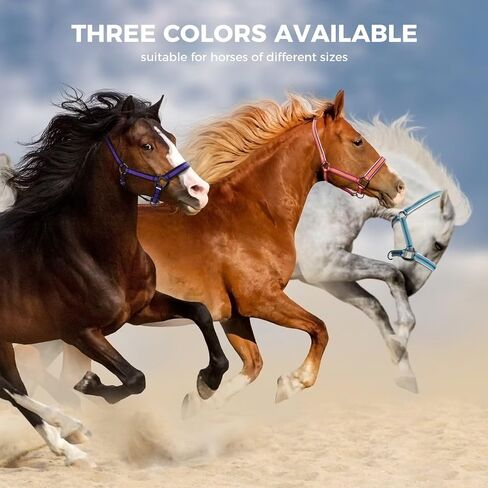 Hilltown Hill -Horse Harter مع حزام PP ، ودائم الخيول مع أجهزة سبيكة الزنك ، وأجهزة تدريب الخيول لمنع الاحتكاك للتدريب ، والمسابقات ＆ يوميًا in Kuwait