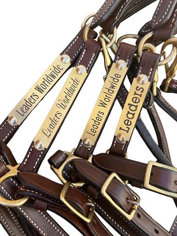Leaders 3/4" Leather Halter for Horses with Customized Engraved Name Plate Brown Leather with Solid Brass Hardware in Saudi Arabia