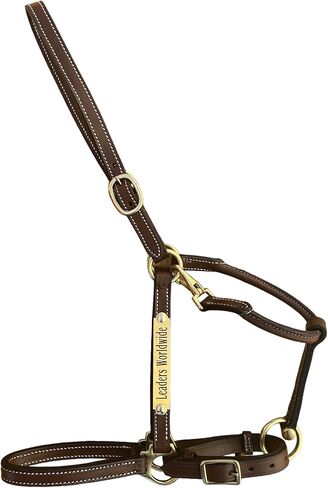 Leaders 3/4" Leather Halter for Horses with Customized Engraved Name Plate Brown Leather with Solid Brass Hardware in Saudi Arabia