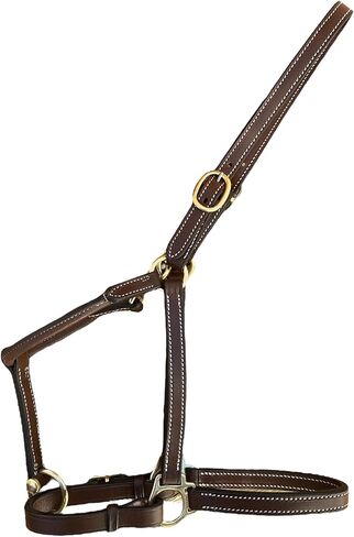 Leaders 3/4" Leather Halter for Horses with Customized Engraved Name Plate Brown Leather with Solid Brass Hardware in Saudi Arabia
