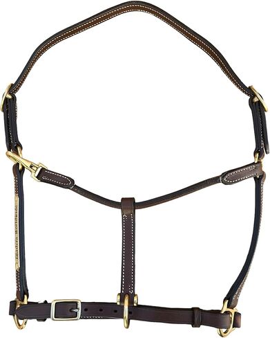 Leaders 3/4" Leather Halter for Horses with Customized Engraved Name Plate Brown Leather with Solid Brass Hardware in Saudi Arabia