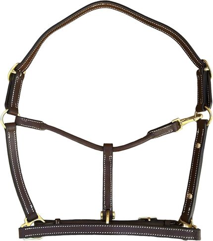 Leaders 3/4" Leather Halter for Horses with Customized Engraved Name Plate Brown Leather with Solid Brass Hardware in Saudi Arabia