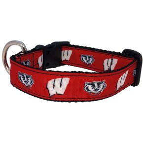 NCAA Wisconsin Badgers Collegiate Dog Collar (Small)