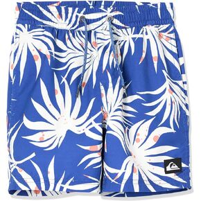 Quiksilver Boys Everyday Mix 12 Volley Boardshort Swim Trunk Youth