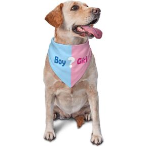 He Or She What Will It Be?Pregnancy Announcement,Triangle Pet Scarf, Gender Reveal,Baby Shower Photography Props (Pink)