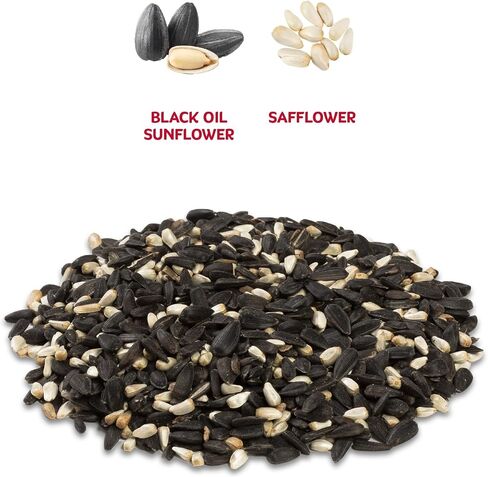 Audubon Park Cardinal Blend Wild Bird Food, Cardinal Bird Seed for Outside Feeders, 4-Pound Bag in Saudi Arabia