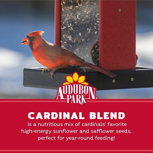 Audubon Park Cardinal Blend Wild Bird Food, Cardinal Bird Seed for Outside Feeders, 4-Pound Bag in Saudi Arabia