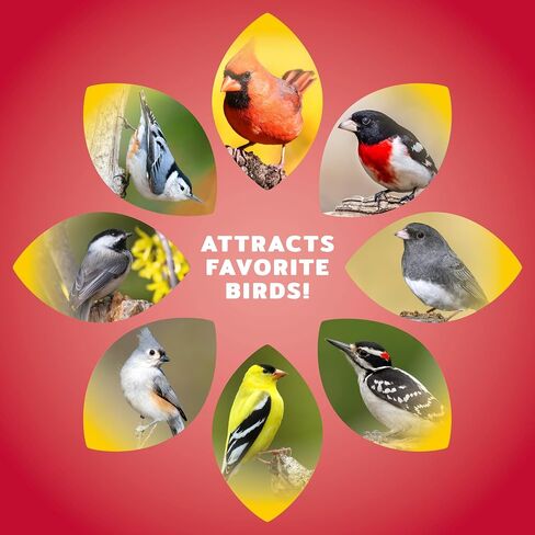 Audubon Park Cardinal Blend Wild Bird Food, Cardinal Bird Seed for Outside Feeders, 4-Pound Bag in Saudi Arabia