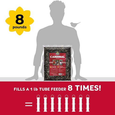 Audubon Park Cardinal Blend Wild Bird Food, Cardinal Bird Seed for Outside Feeders, 4-Pound Bag in Saudi Arabia
