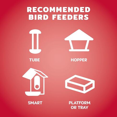 Audubon Park Cardinal Blend Wild Bird Food, Cardinal Bird Seed for Outside Feeders, 4-Pound Bag in Saudi Arabia