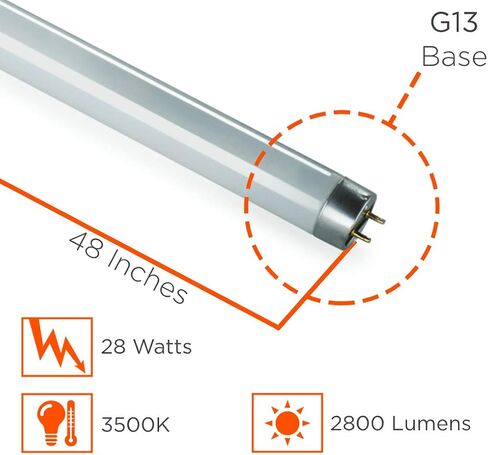 GoodBulb 28-Watt 48 Inch T8 Fluorescent Light Bulb | 4100K Cool White Medium Bi-Pin Base | 2970 Lumens 86 CRI 36000 Life Hours | Instant/Programmed Start | Pack of 30 Bulbs in Kuwait