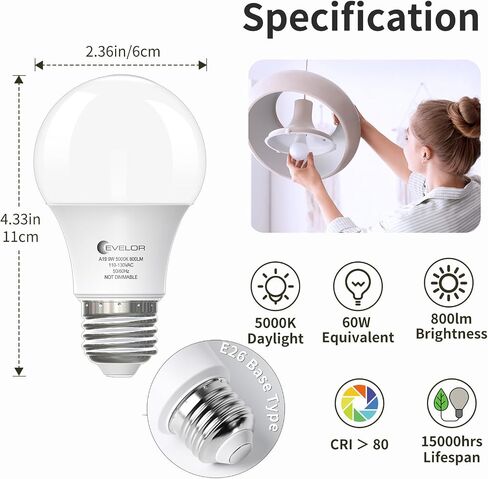 6-Pack A19 LED Light Bulbs,60 Watt Equivalent Daylight 5000K with E26 Base,Efficient 9W,800 Lumens Non-Dimmable LED Bulbs,15000 Hours, Ideal for Bedroom Living Room in Saudi Arabia