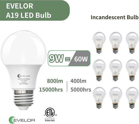 6-Pack A19 LED Light Bulbs,60 Watt Equivalent Daylight 5000K with E26 Base,Efficient 9W,800 Lumens Non-Dimmable LED Bulbs,15000 Hours, Ideal for Bedroom Living Room in Saudi Arabia
