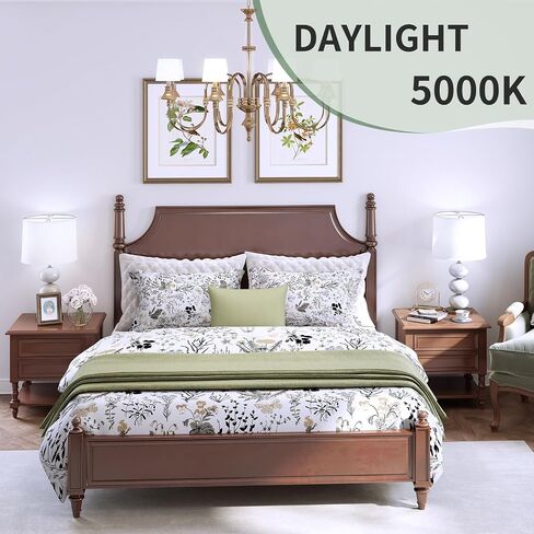 6-Pack A19 LED Light Bulbs,60 Watt Equivalent Daylight 5000K with E26 Base,Efficient 9W,800 Lumens Non-Dimmable LED Bulbs,15000 Hours, Ideal for Bedroom Living Room in Saudi Arabia