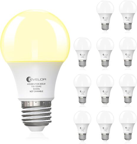 6-Pack A19 LED Light Bulbs,60 Watt Equivalent Daylight 5000K with E26 Base,Efficient 9W,800 Lumens Non-Dimmable LED Bulbs,15000 Hours, Ideal for Bedroom Living Room in Saudi Arabia