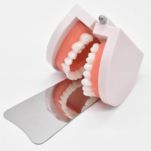 Angzhili 1 Piece Dental Anti-Fog Photography Mirrors,2 Sided Fog Free Intraoral Photography Mirror,Stainless Steel Occlusal Mirror (Lingual mirror) in Saudi Arabia