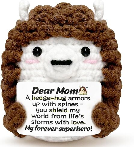 Mini Hedgehog Inspirational Gifts for Women Men, Positive Emotional Support Crochet Gifts for Friends Coworkers Teens, Birthday Gift for Her Him Sister Student Graduation Teacher Appreciation Gift in Kuwait