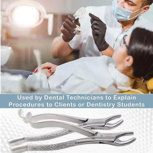 A2Z 2pc German Dental Extraction Forceps #18R #18L- For Extracting Maxillary Upper Right Left 1st & 2nd Molars from Alveolar Bone - Serrated Jaws & Sturdy Handle Grip - Made of Premium Stainless Steel in Saudi Arabia