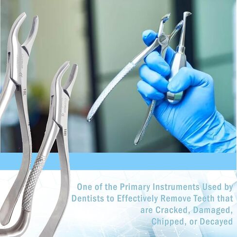 A2Z 2pc German Dental Extraction Forceps #18R #18L- For Extracting Maxillary Upper Right Left 1st & 2nd Molars from Alveolar Bone - Serrated Jaws & Sturdy Handle Grip - Made of Premium Stainless Steel in Saudi Arabia