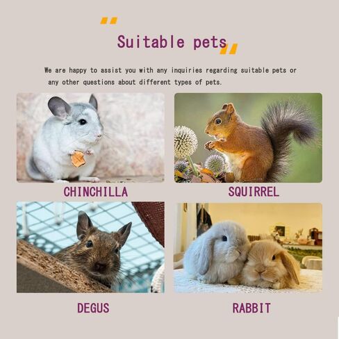 Chinchilla House Pet House Chinchilla Hideout Natural Wooden No Paint Wooden peg Safe Durable Teeth Grinding (Two-Story) in Saudi Arabia