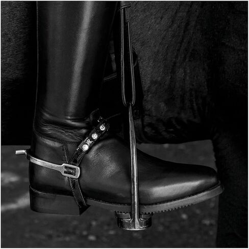 MTN Horse Serenade Dressage Boot 8 Regular Black in Kuwait