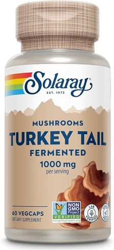 SOLARAY Fermented Cordyceps Mushroom 1000 mg - Healthy Energy Support - Fermented for Enhanced Absorption - Vegan, Non-GMO, Lab Verified - 30 Servings, 60 VegCaps in Saudi Arabia