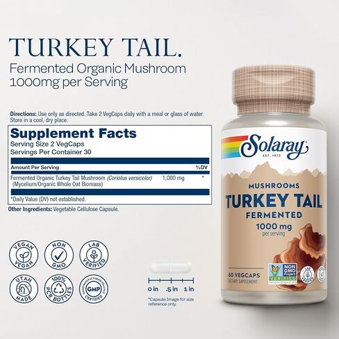 SOLARAY Fermented Cordyceps Mushroom 1000 mg - Healthy Energy Support - Fermented for Enhanced Absorption - Vegan, Non-GMO, Lab Verified - 30 Servings, 60 VegCaps in Saudi Arabia