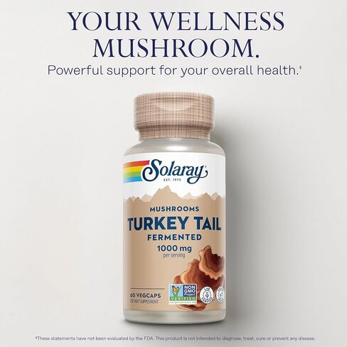 SOLARAY Fermented Cordyceps Mushroom 1000 mg - Healthy Energy Support - Fermented for Enhanced Absorption - Vegan, Non-GMO, Lab Verified - 30 Servings, 60 VegCaps in Saudi Arabia