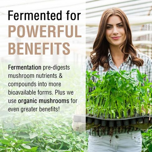 SOLARAY Fermented Cordyceps Mushroom 1000 mg - Healthy Energy Support - Fermented for Enhanced Absorption - Vegan, Non-GMO, Lab Verified - 30 Servings, 60 VegCaps in Saudi Arabia