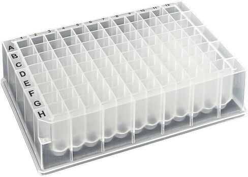 CellPro™ 96-Well Deep Well Plates (50, 2.2mL, V-Bottom, Square Well, Sterile) in Saudi Arabia