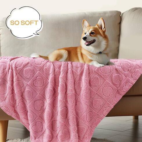 Luciphia Small Dog Blanket Washable Pet Bed Cover Soft Fluffy Puppy Blanket with Premium Fleece 300GSM Cozy Calming Cat Blankets for Indoor Cats Pink 30x20 inch in Saudi Arabia