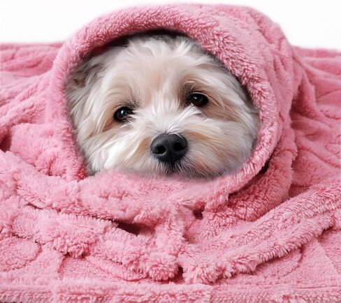 Luciphia Small Dog Blanket Washable Pet Bed Cover Soft Fluffy Puppy Blanket with Premium Fleece 300GSM Cozy Calming Cat Blankets for Indoor Cats Pink 30x20 inch in Saudi Arabia