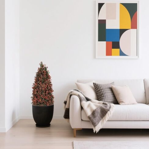 أشجار توبيرية خشب البقس الاصطناعية 3 أقدام (مجموعة من 2) - نباتات فو مقاومة للأشعة فوق البنفسجية للشروط والشجيرات المزيفة في الهواء الطلق/داخلي ، واقعية 36 بوصة للشرفة الأمامية ، والزارع ، والفناء - صيانة منخفضة ودائمة الخضرة in Kuwait