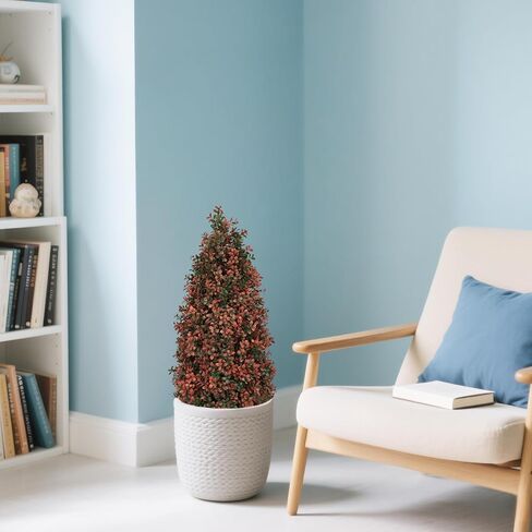 أشجار توبيرية خشب البقس الاصطناعية 3 أقدام (مجموعة من 2) - نباتات فو مقاومة للأشعة فوق البنفسجية للشروط والشجيرات المزيفة في الهواء الطلق/داخلي ، واقعية 36 بوصة للشرفة الأمامية ، والزارع ، والفناء - صيانة منخفضة ودائمة الخضرة in Kuwait