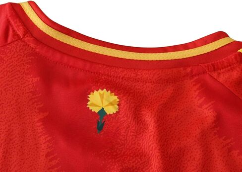 Spain Lamine Yamal Home 2024 Soccer Jersey for Men Fan Version in Kuwait