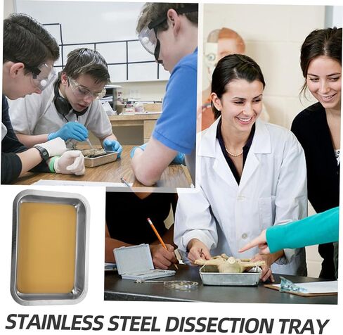 Lifekome Medical Use Trescection Tray Feth Stains Stains Stefic Wax لوحة تشريح لوحة تشريح in Saudi Arabia