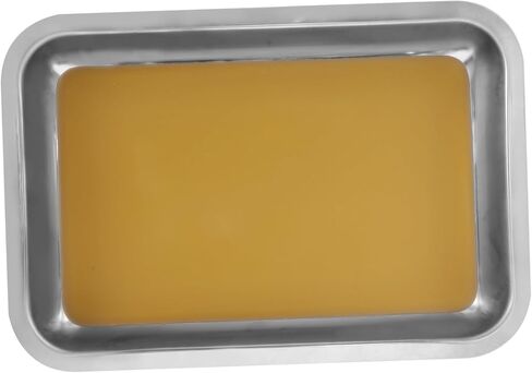 Unomor Dissecting Tray Wax Stainless Steel Dissection Plate for Biological Experiment Lab Use in Saudi Arabia